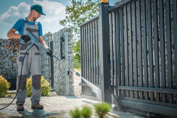 Best Rust Removal  in Swepsonville, NC