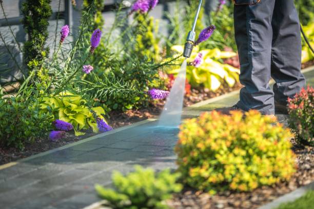 Best Parking Lot and Garage Cleaning  in Swepsonville, NC